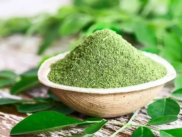 Moringa Powder (ሽፈራው)